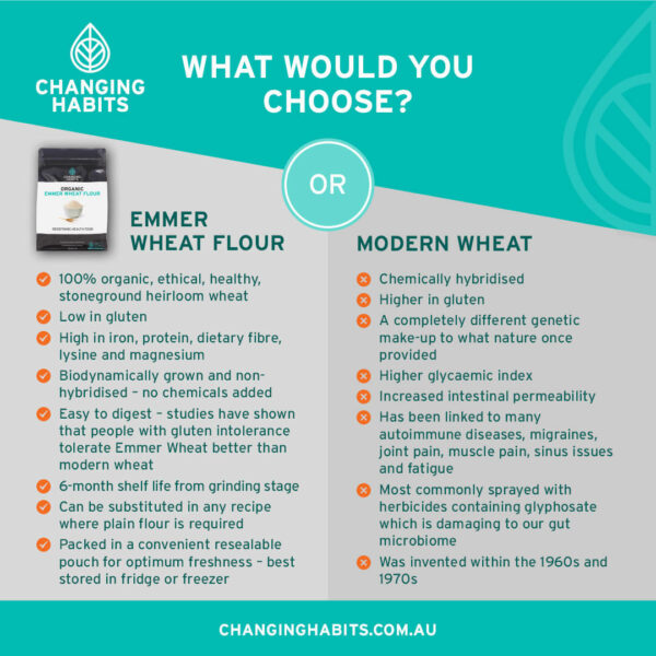 Emmer Wheat - Flour 1kg - Image 9